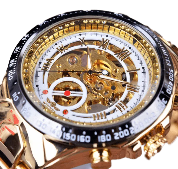 Men's Luxury Automatic Skeleton Watch