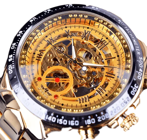 Men's Luxury Automatic Skeleton Watch